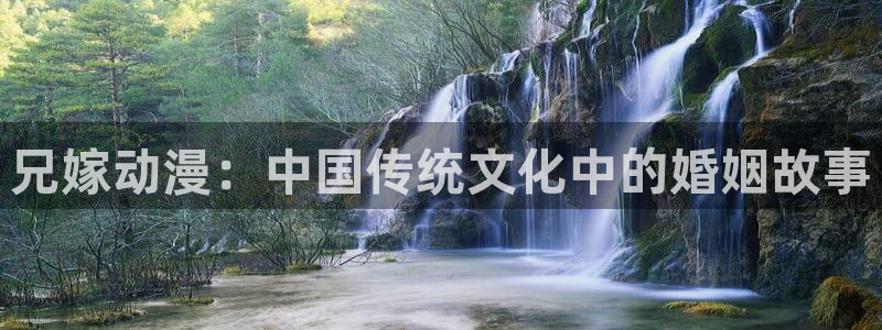 51动漫官网.