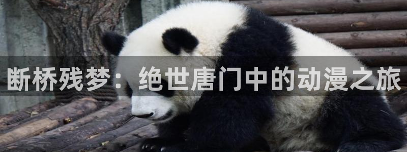 51动漫网站免费观看