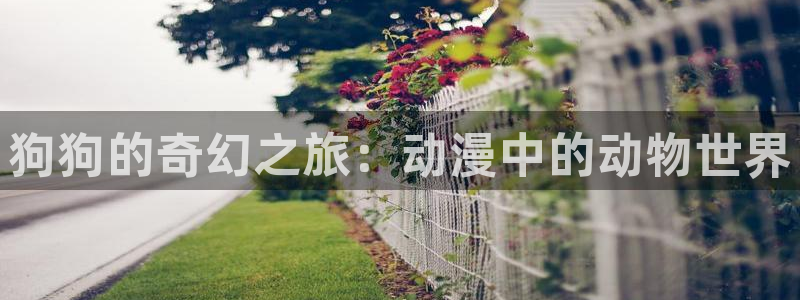 51动漫永久免费看