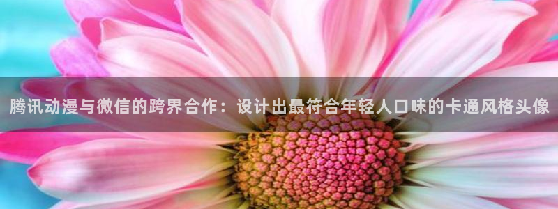 51动漫下载入口
