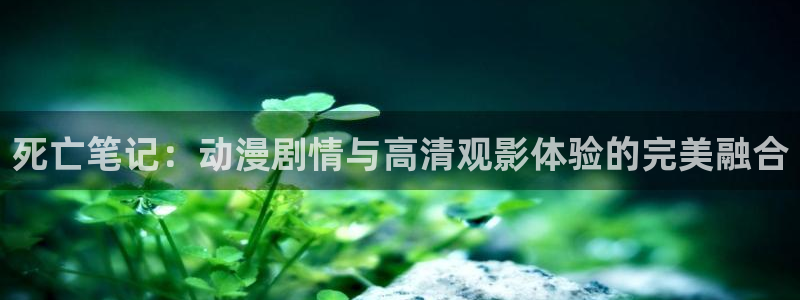 51动漫软件