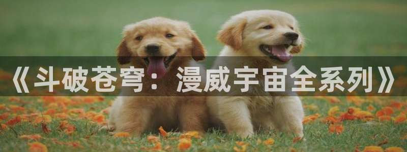 51动漫官网官方进入版本网页在线