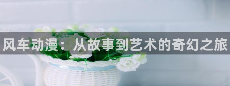51动漫新版本