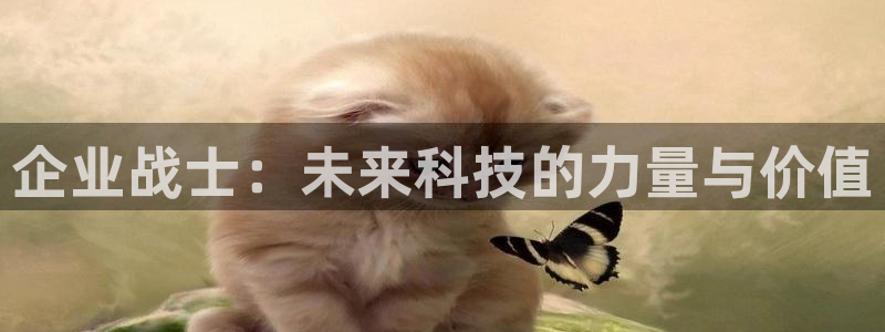 51动漫之家