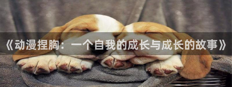 51动漫污