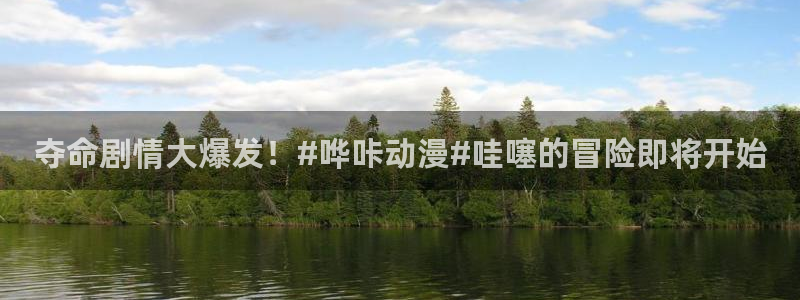 全51动漫