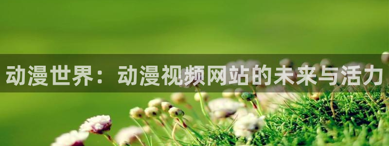 51动漫正版