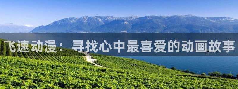 51动漫大全动漫：飞速动漫：寻找心中最喜爱的动画故事